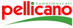 Pellicano